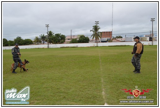 rolim de moura